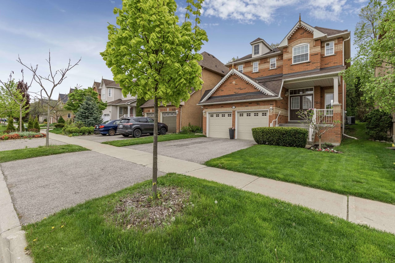 31 English Oak Oak Ridges