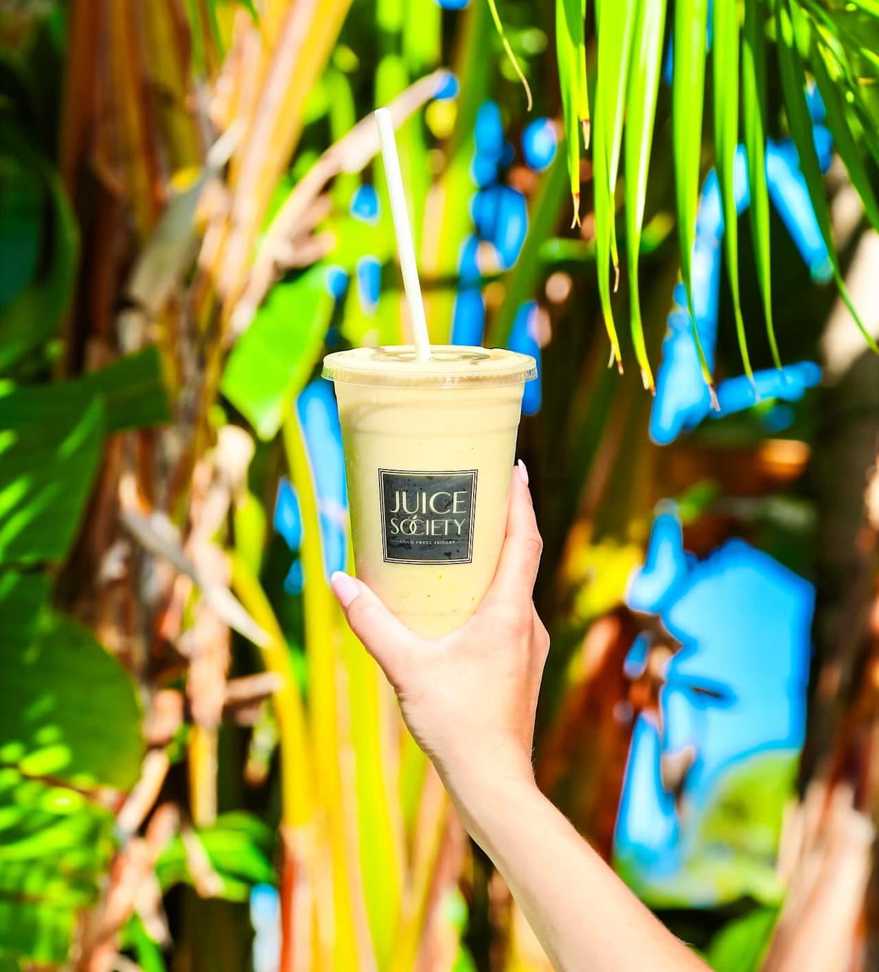 Juice Society Coconut Point Estero McGreevy and Comisar