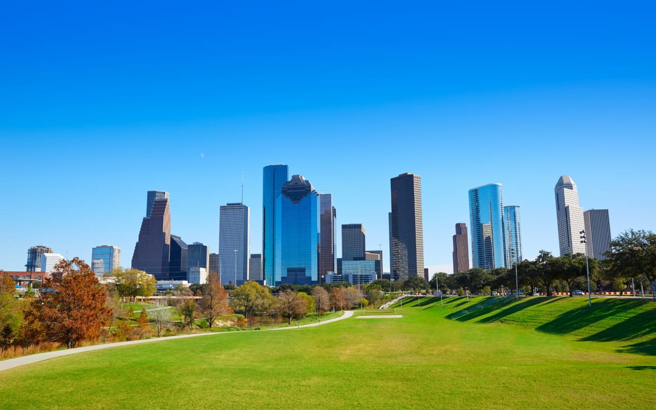 Houston Homes for Sale NPM & Consulting, LLC