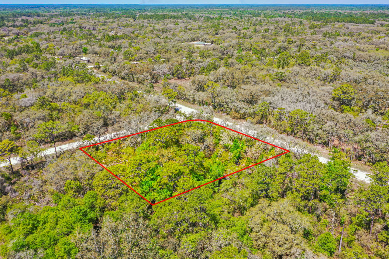 PRIMROSE LANE King & Associates Real Estate