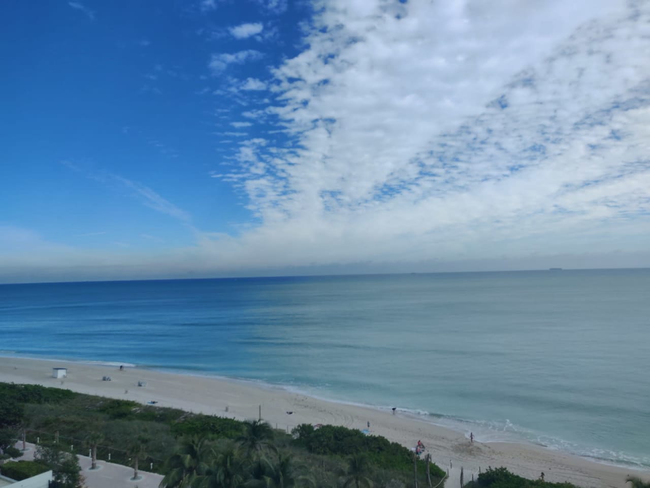 5445 Collins Ave Unit 834 Miami Beach : 