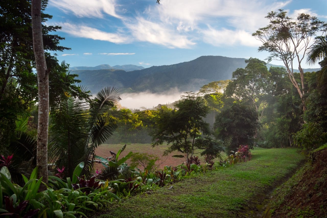 2 Acres of Paradise in Platanillo with Legal Water.