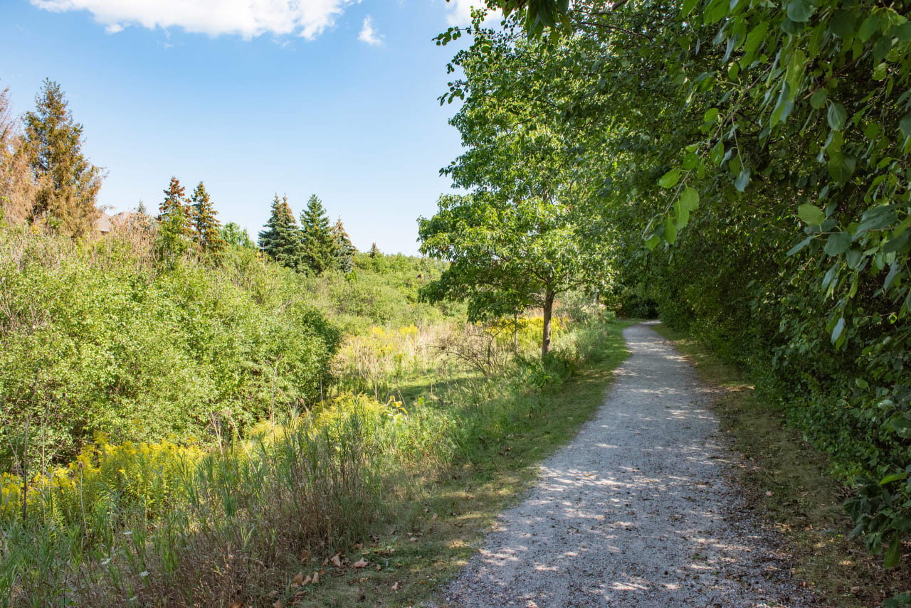 West Oak Trails Neighborhood Guide Goodale Miller Team