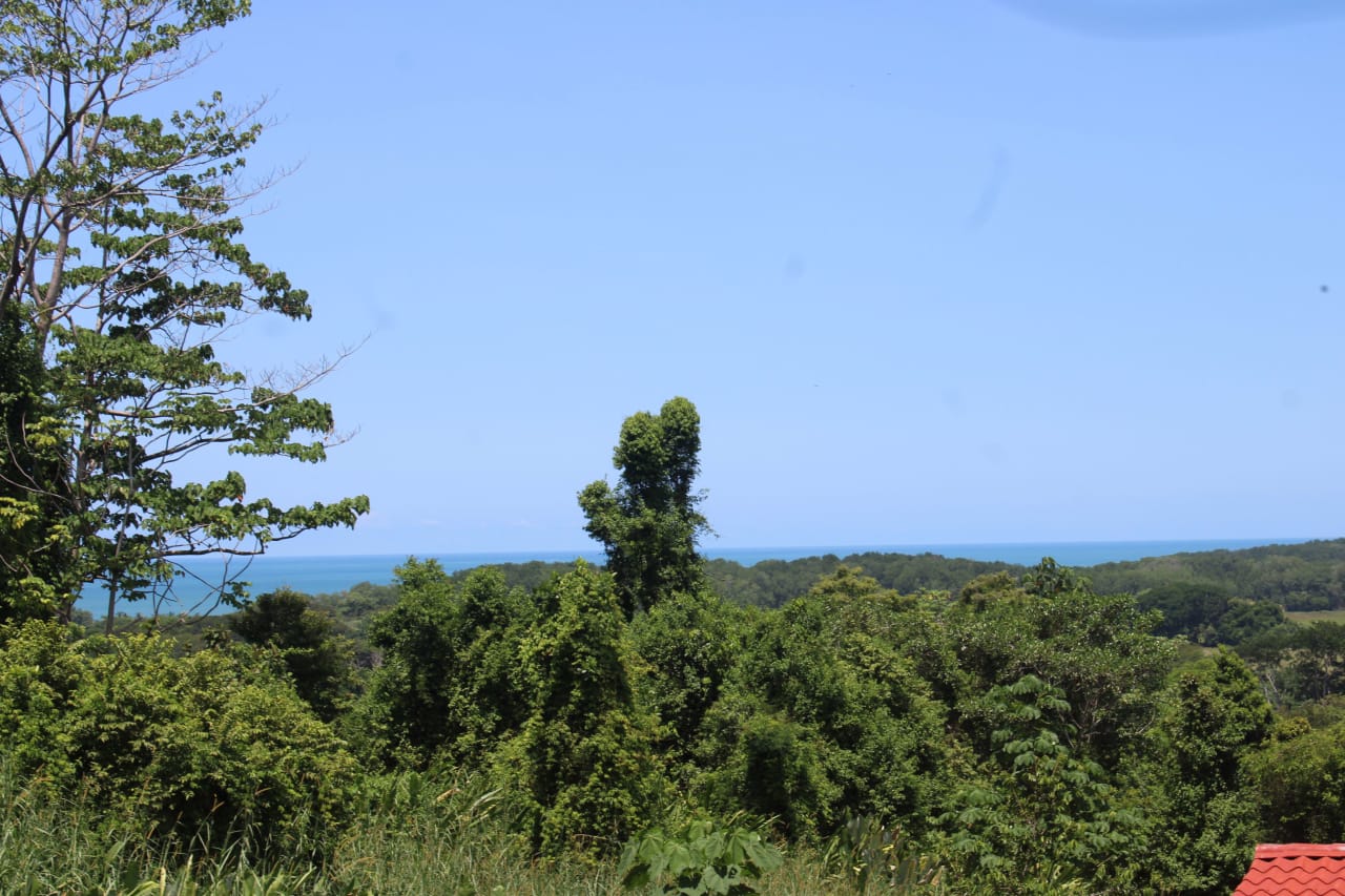 Income Producing Property with Ocean View close to Dominical