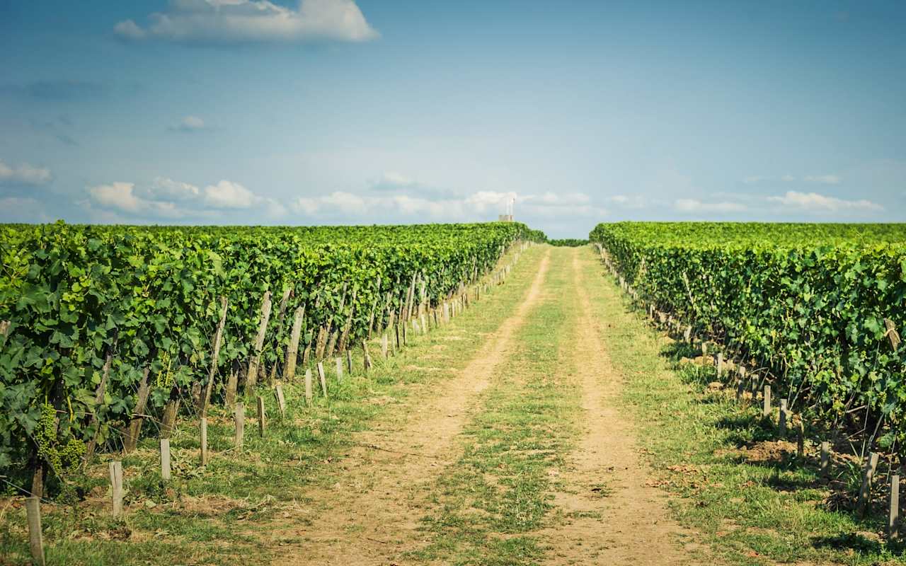 Top 5 Considerations for Farm, Property and Forest Land Sales Blog