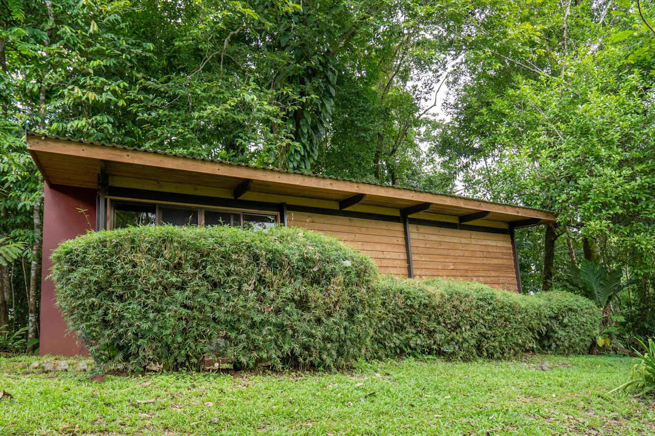 Image showcasing Off Duty: Eco-Friendly Luxury, Sky-High NY Penthouse