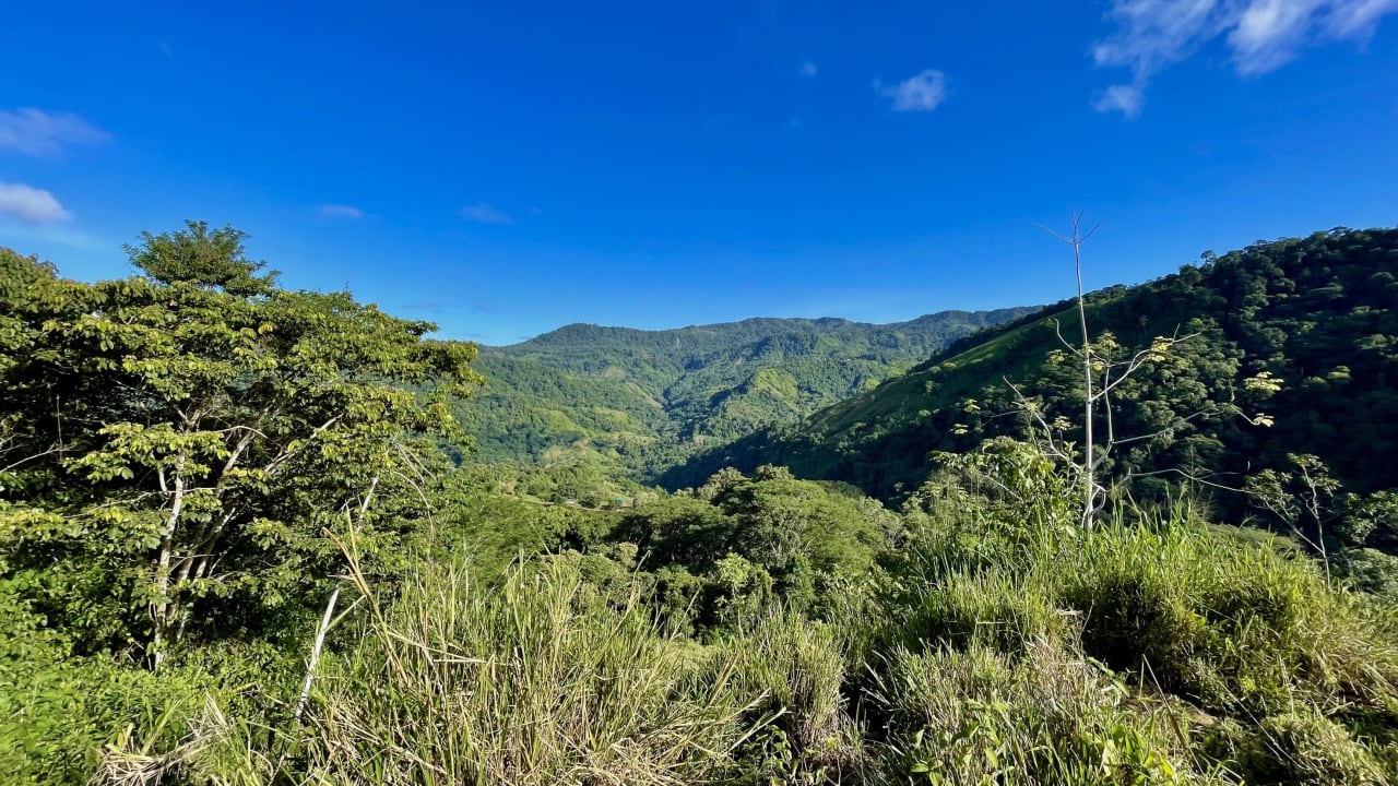 Over 123 Acres Farm in San Josecito De Morete, in Uvita Mountains