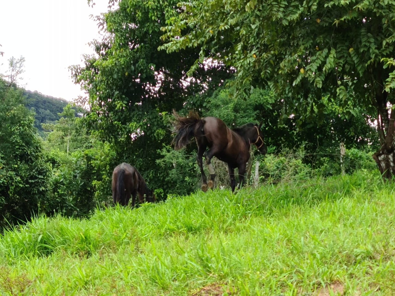 Finca Río General in Santa Luisa