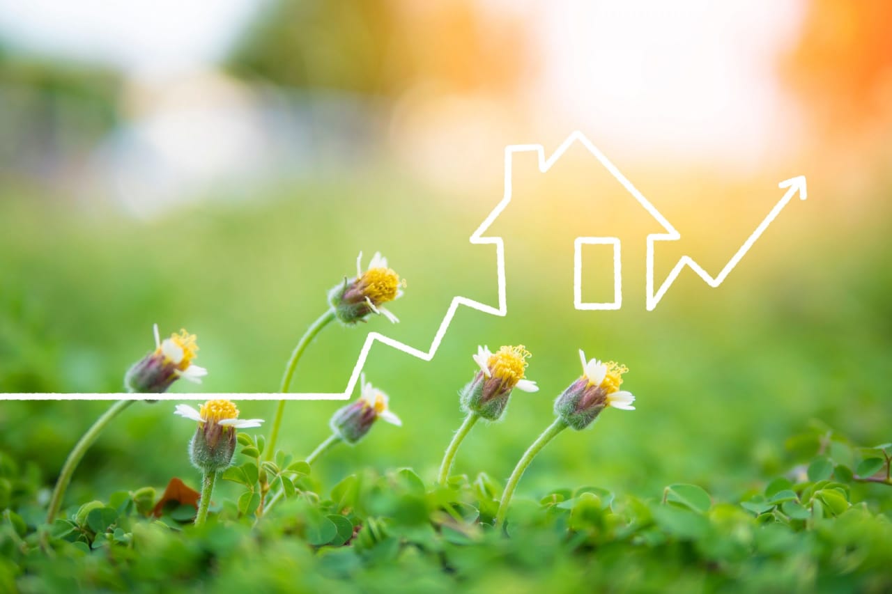 Tips for Maximizing Your Home's Market Appeal During the Spring