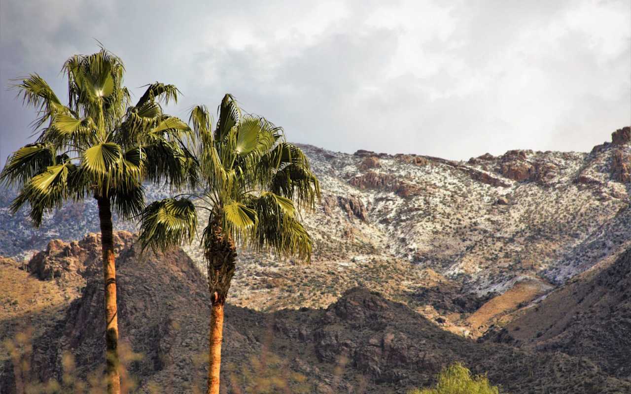 Homes for Sale in Catalina Foothills Net Properties