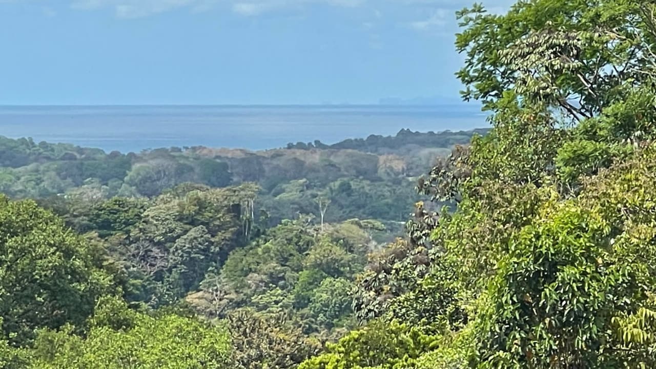 Dulce, Uvita Lot 34 Ocean View and Ready to Build! Gated Community!!