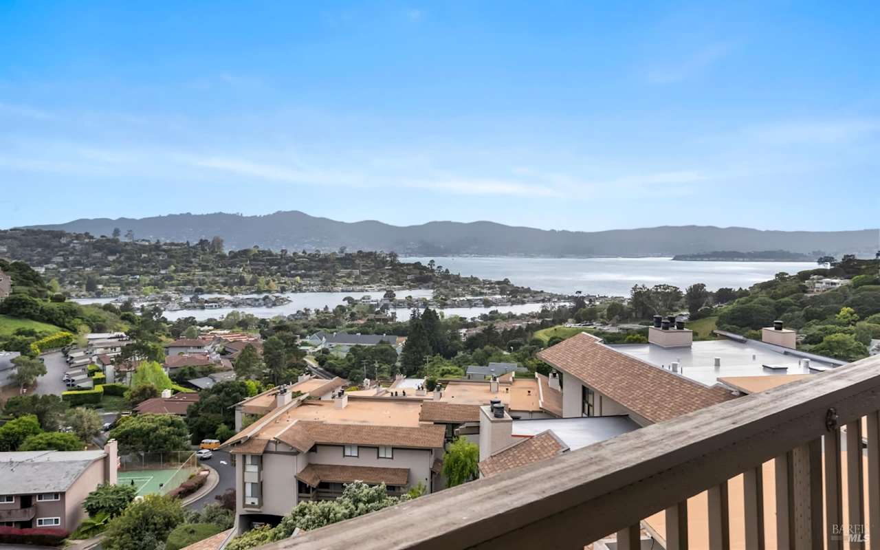 Tiburon Real Estate Market Prices, Trends and Forecast 2024 Blog