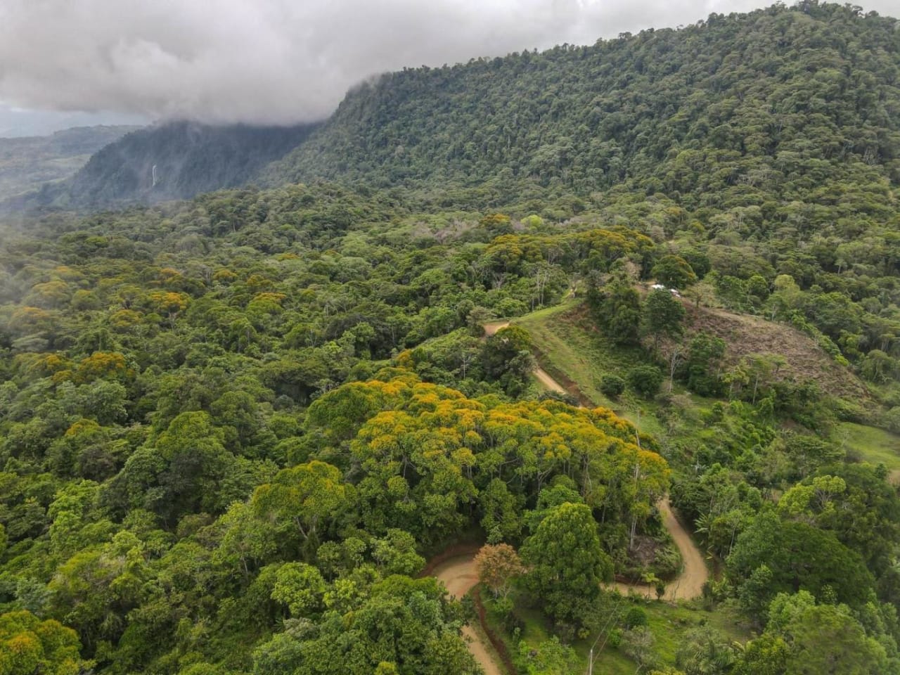 The Ultimate Sustainable Legacy, 360-degree Breath-taking Views Sea Ridge Reserve