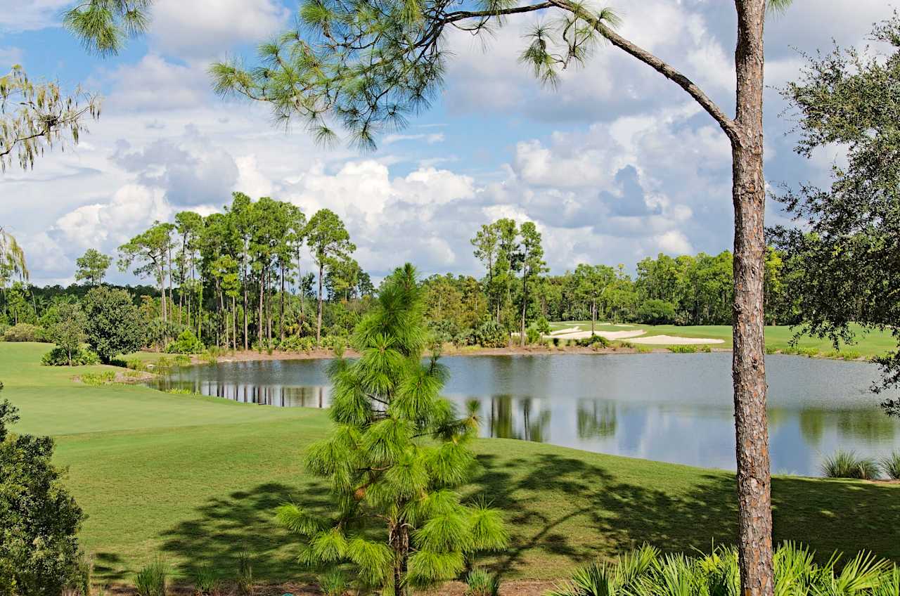 Mediterra Homes for Sale Amy Nease