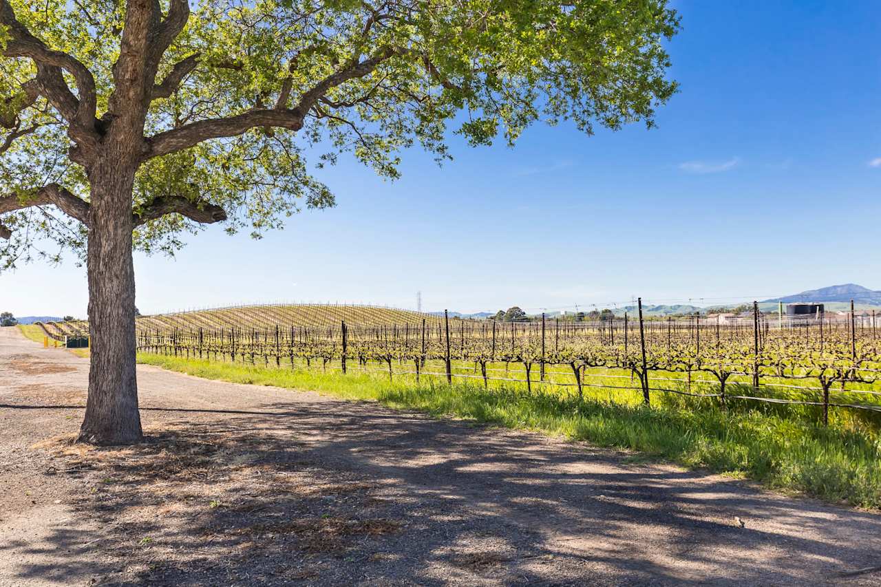 Livermore / Elation Real Estate