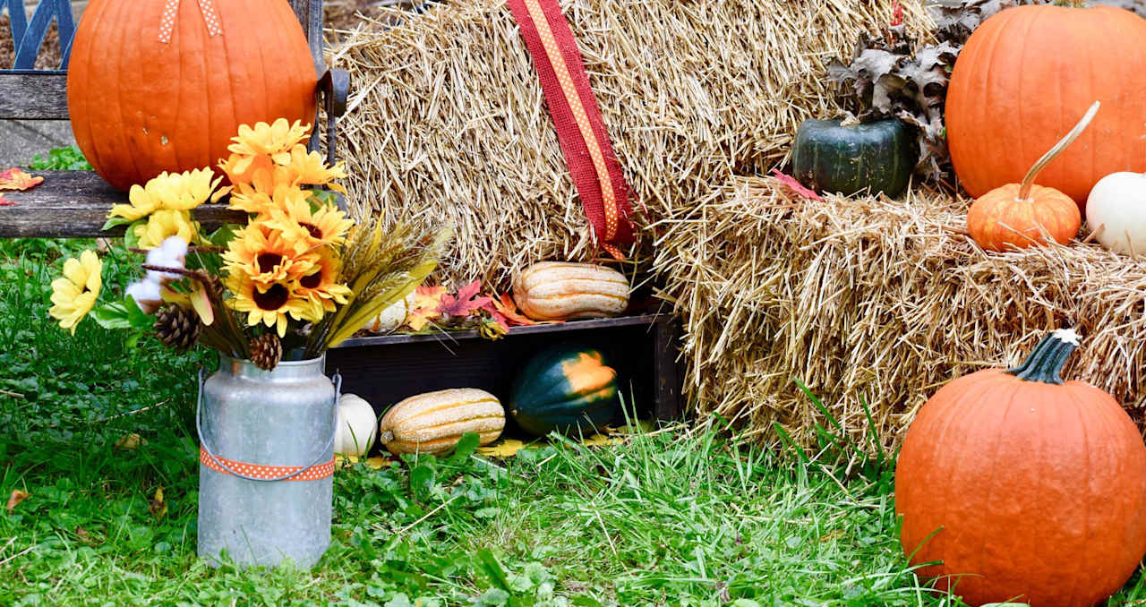 Napa Valley Events in October 2023 A Month to Remember