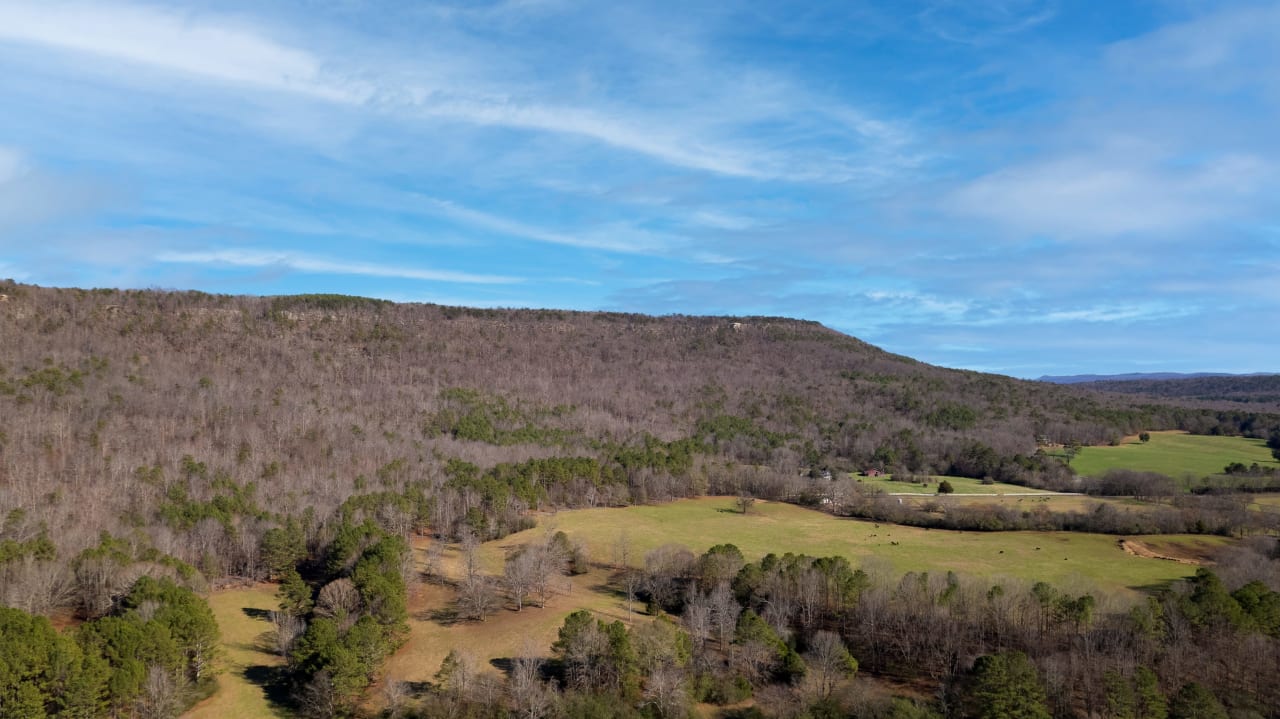 Ashville AL Land Auction - 0 Gallant Rd