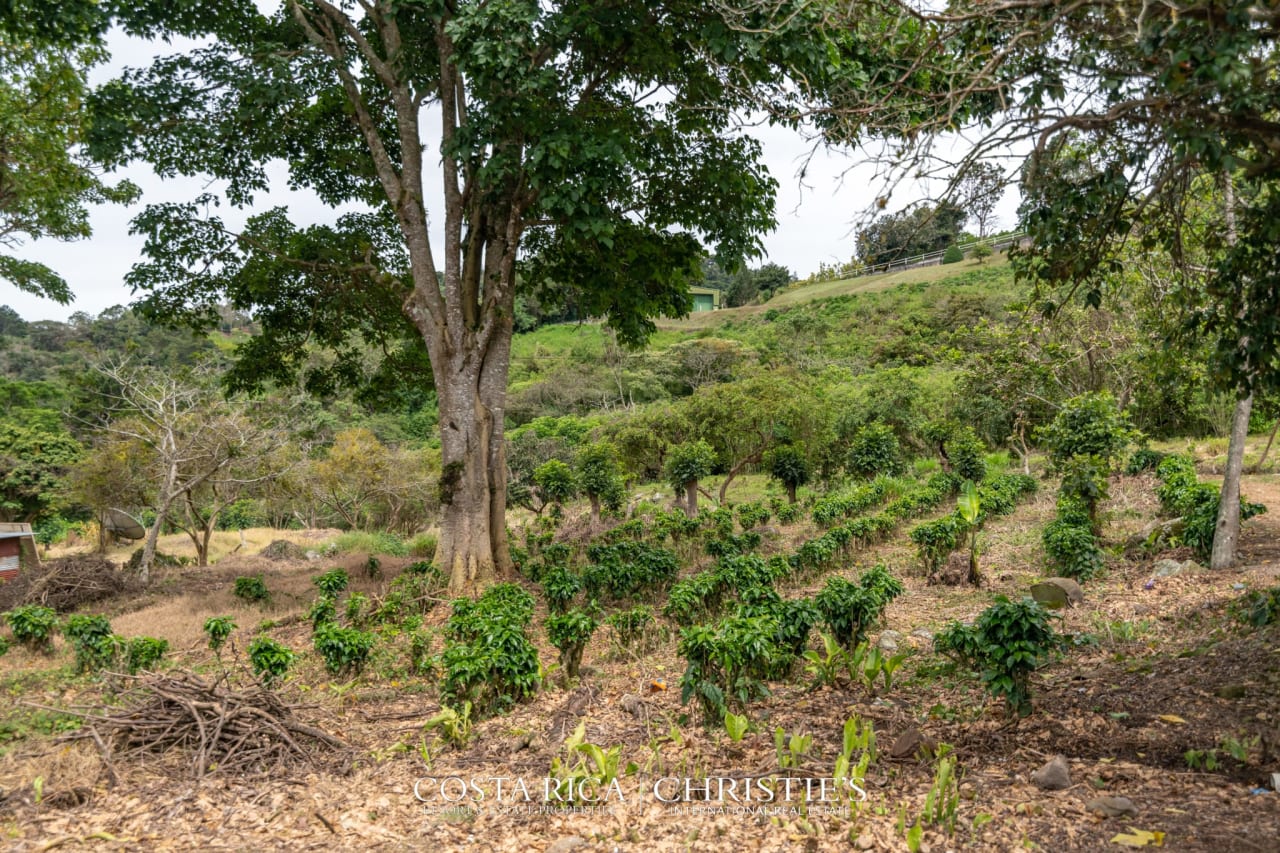 Rancho La Herencia