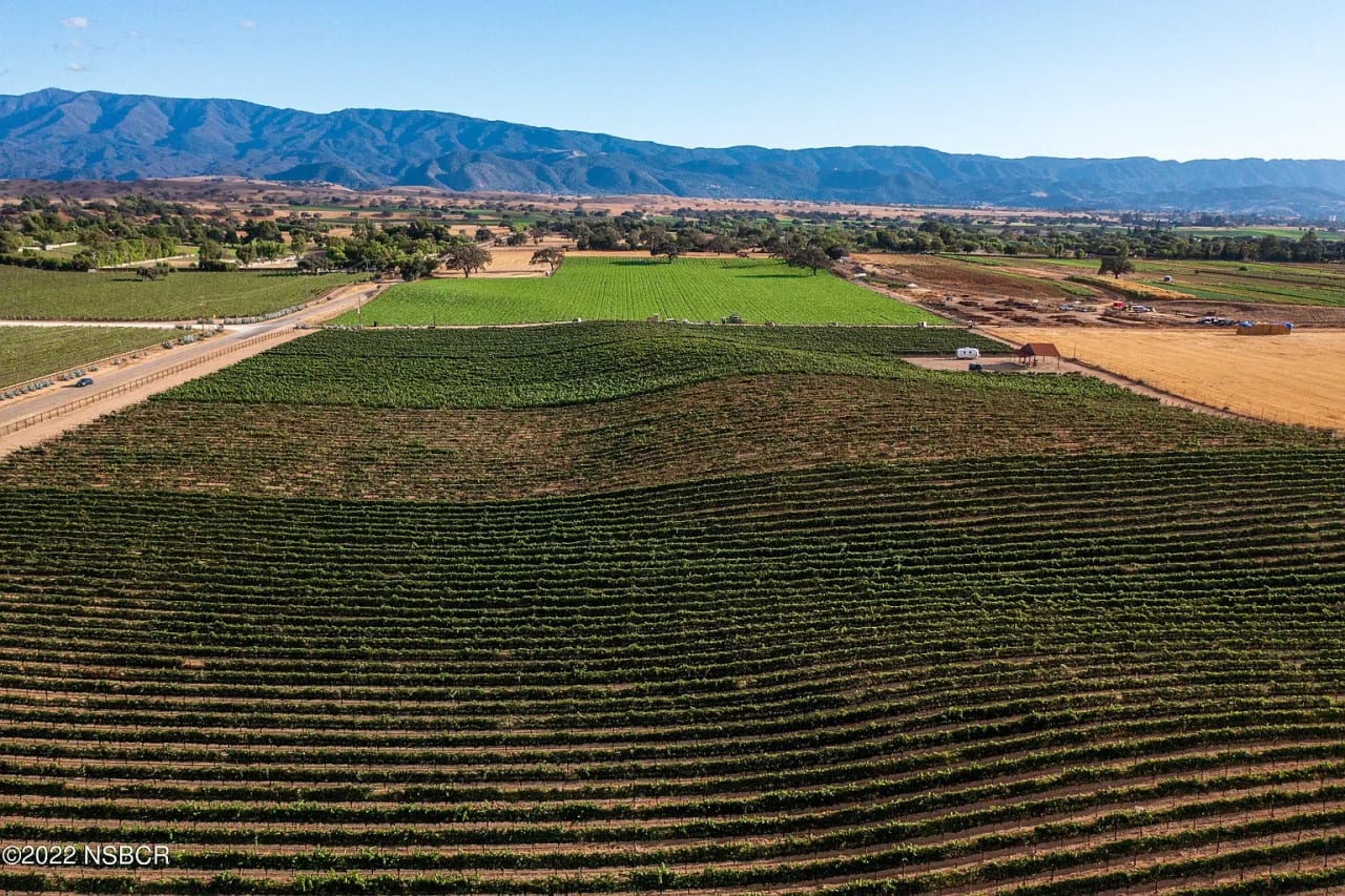 Build your Dream Vineyard Estate