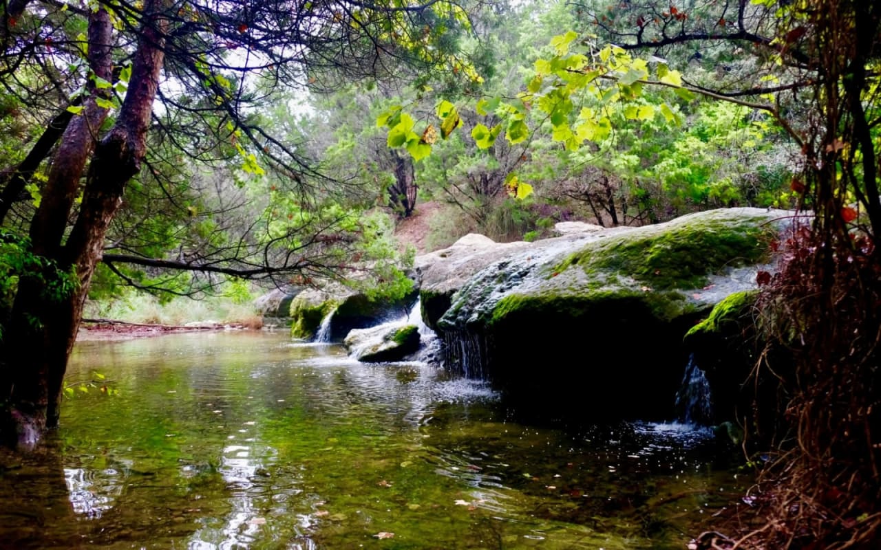 A Guide to Westlake, Austin, TX Parks