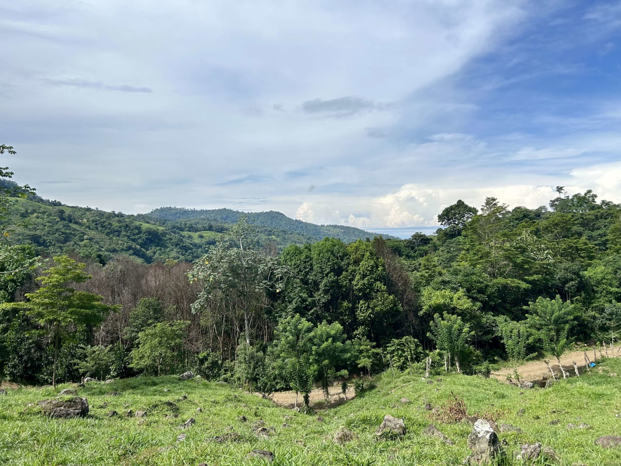 Stunning Ocean View Farm in San Luis de Morete, Over 23 Acres