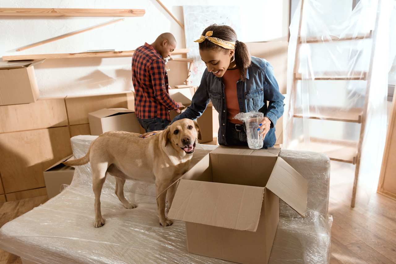 How to Move with Pets Ohlig Group