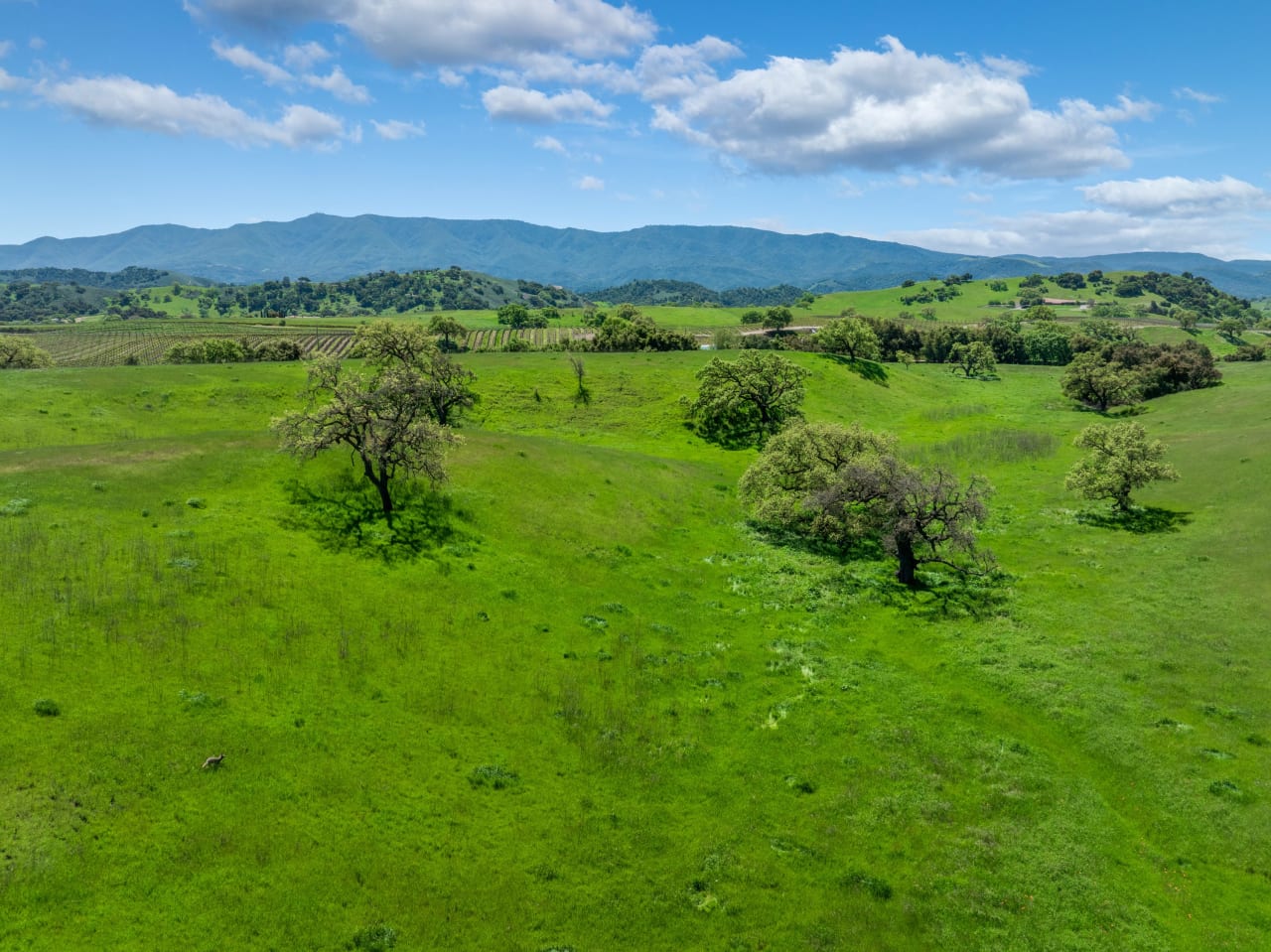 105+/- Magical Acres in Happy Canyon