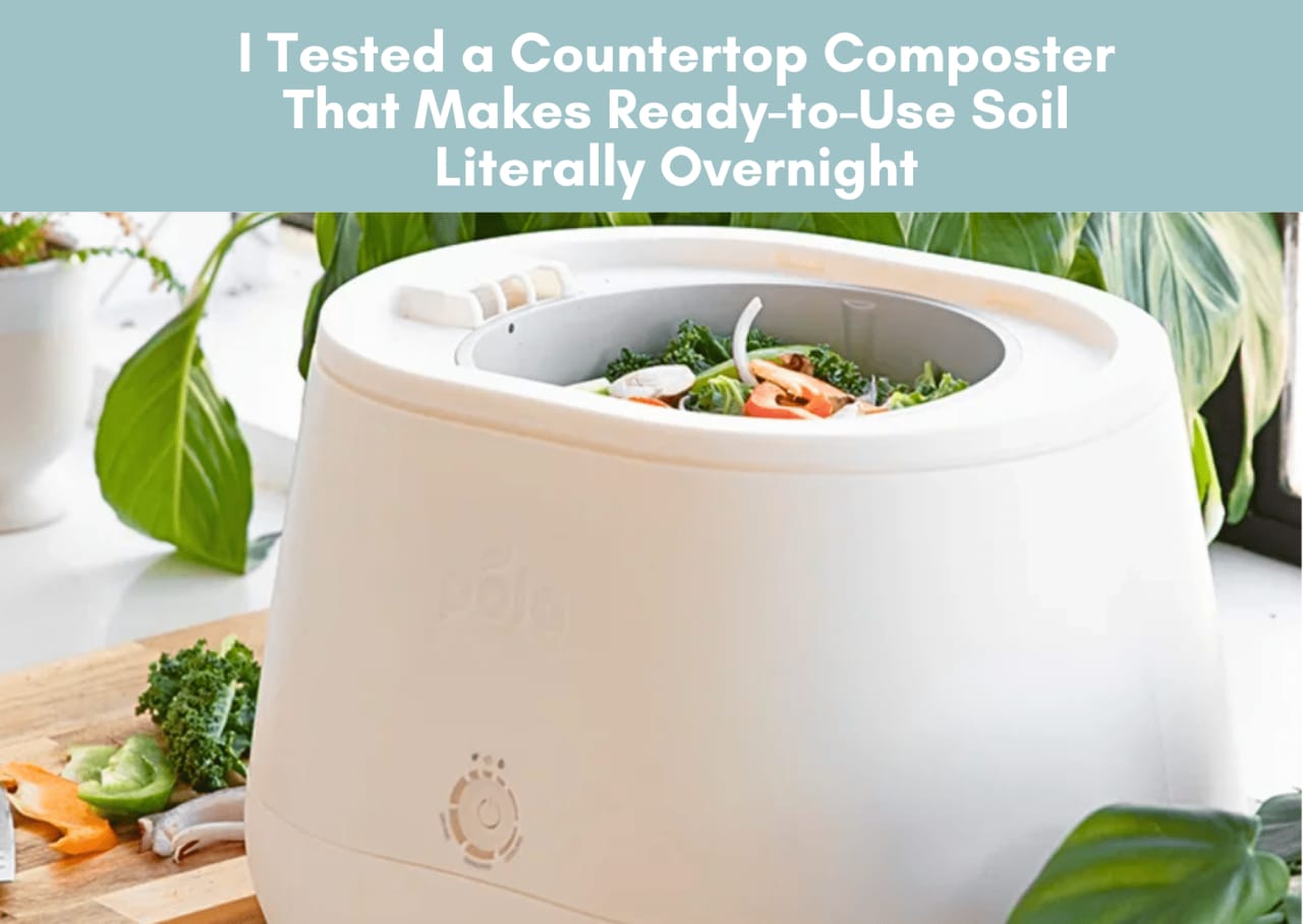 I TESTED A COUNTERTOP COMPOSTER THAT MAKES READY-TO-USE SOIL LITERALLY OVERNIGHT