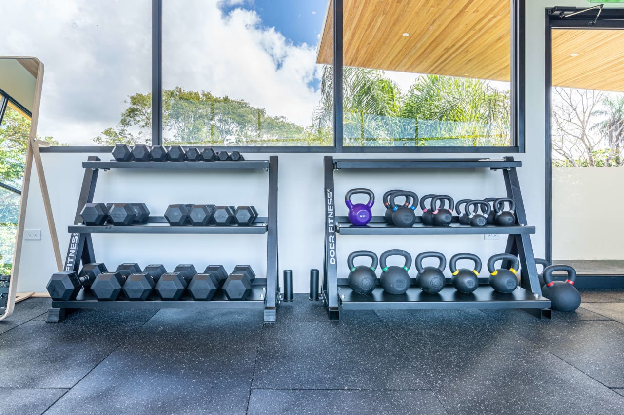 Luxury Home with Fitness and Wellness Centre Business