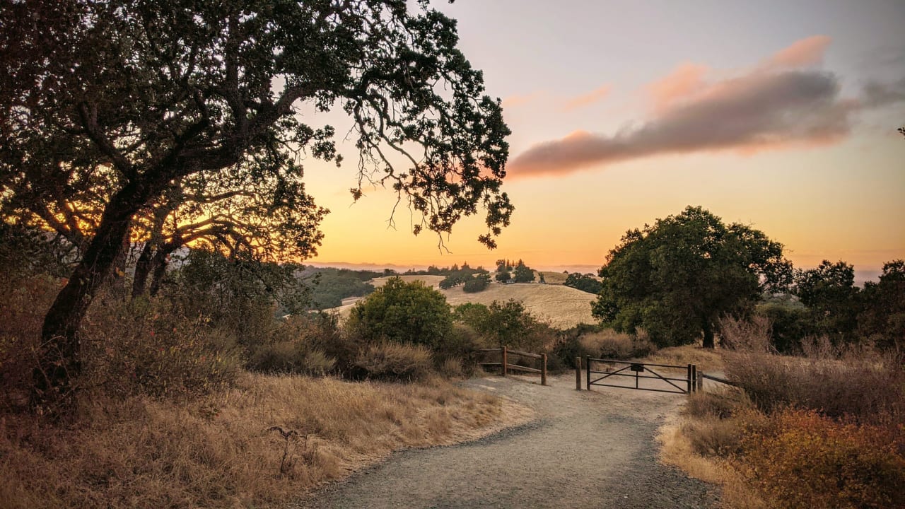 Los Altos Hills