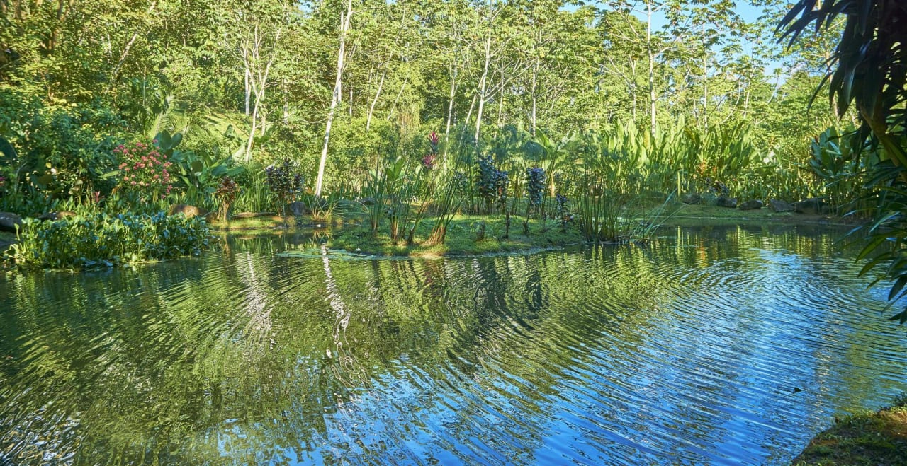 Uvita, Jungle Retreat Center on the Uvita River. Private and 17 Acres