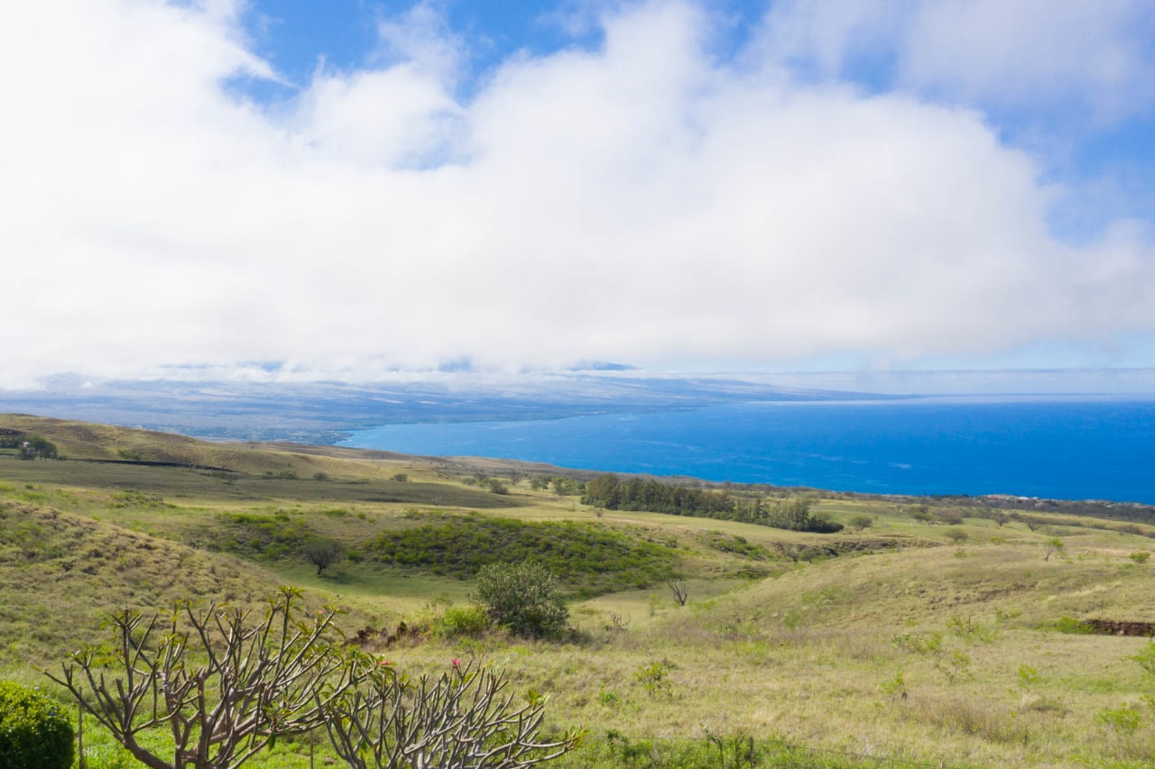 Kohala Coast