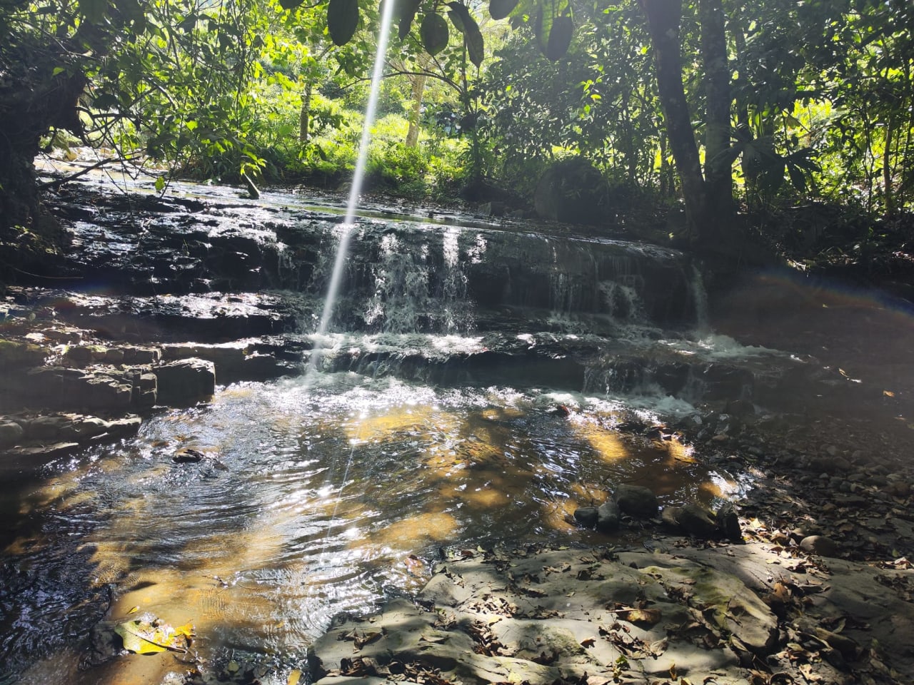 Finca Río General in Santa Luisa