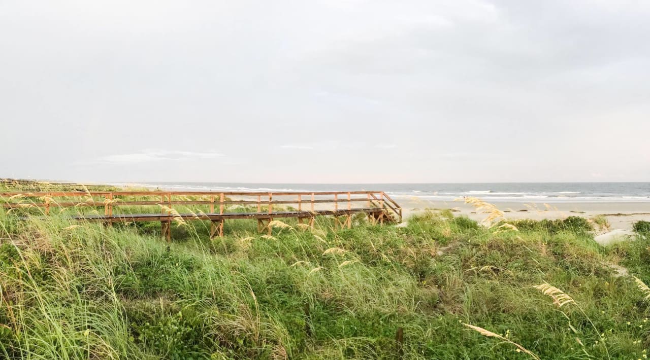 Daniel Island Real Estate for Sale McConnell Real Estate Partners