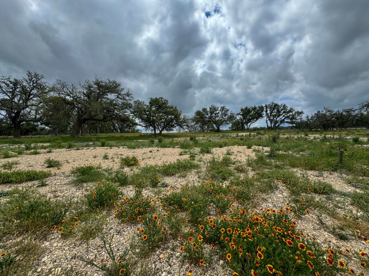 10.48 +/- ACRES | Unzoned 783 Ranch Road Frontage, Gillespie County, TX