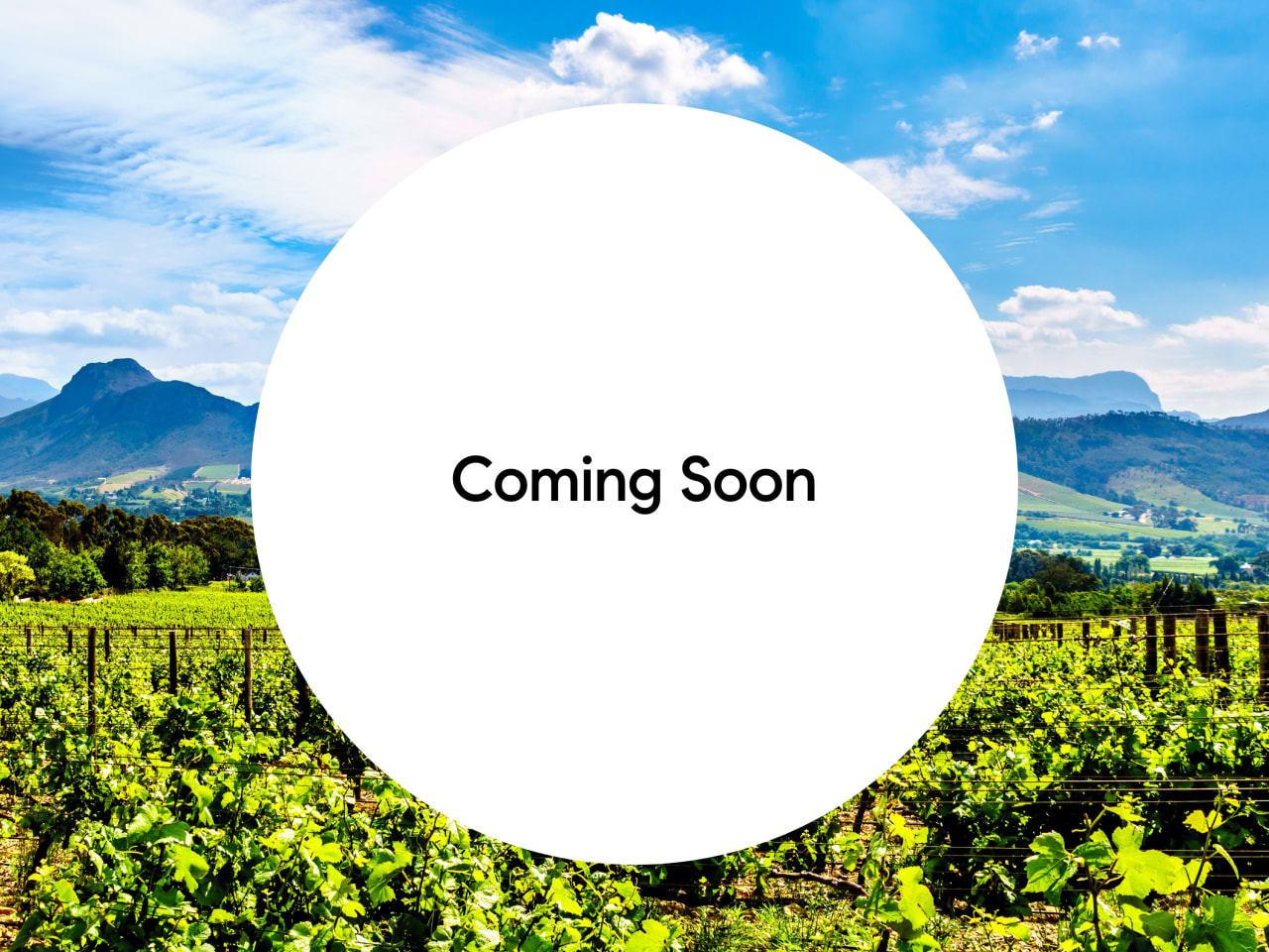 Jeff and Tracey Schween Santa Rosa Luxury Real Estate Team