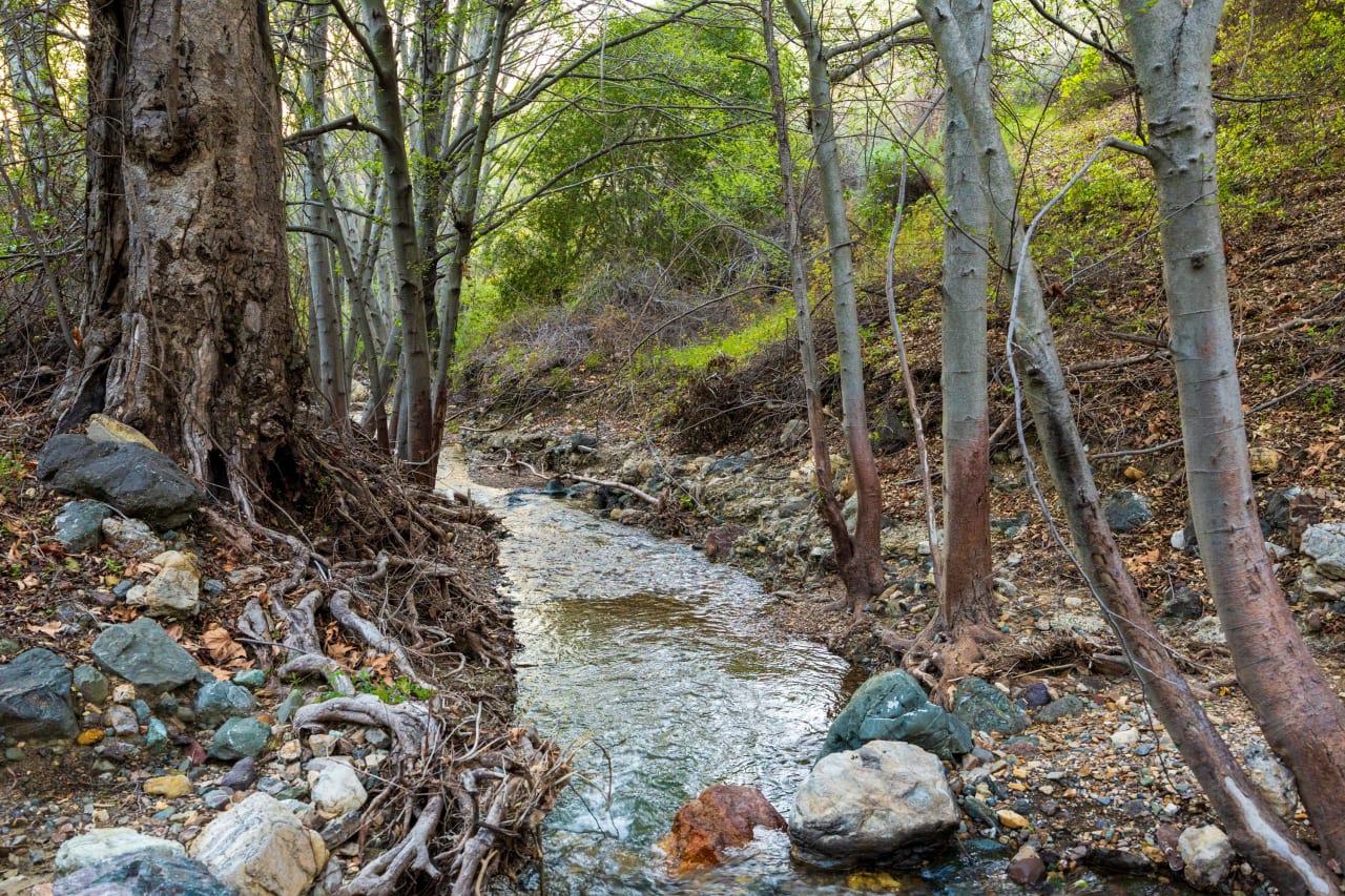 Figueroa Mountain Serenity