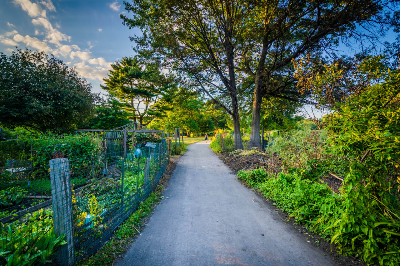 Fenway Victory Gardens