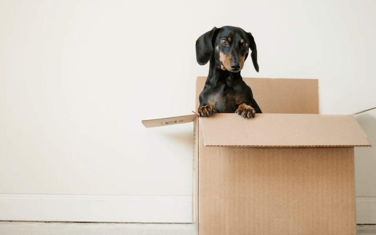 Tips To Make Moving Less Stressful