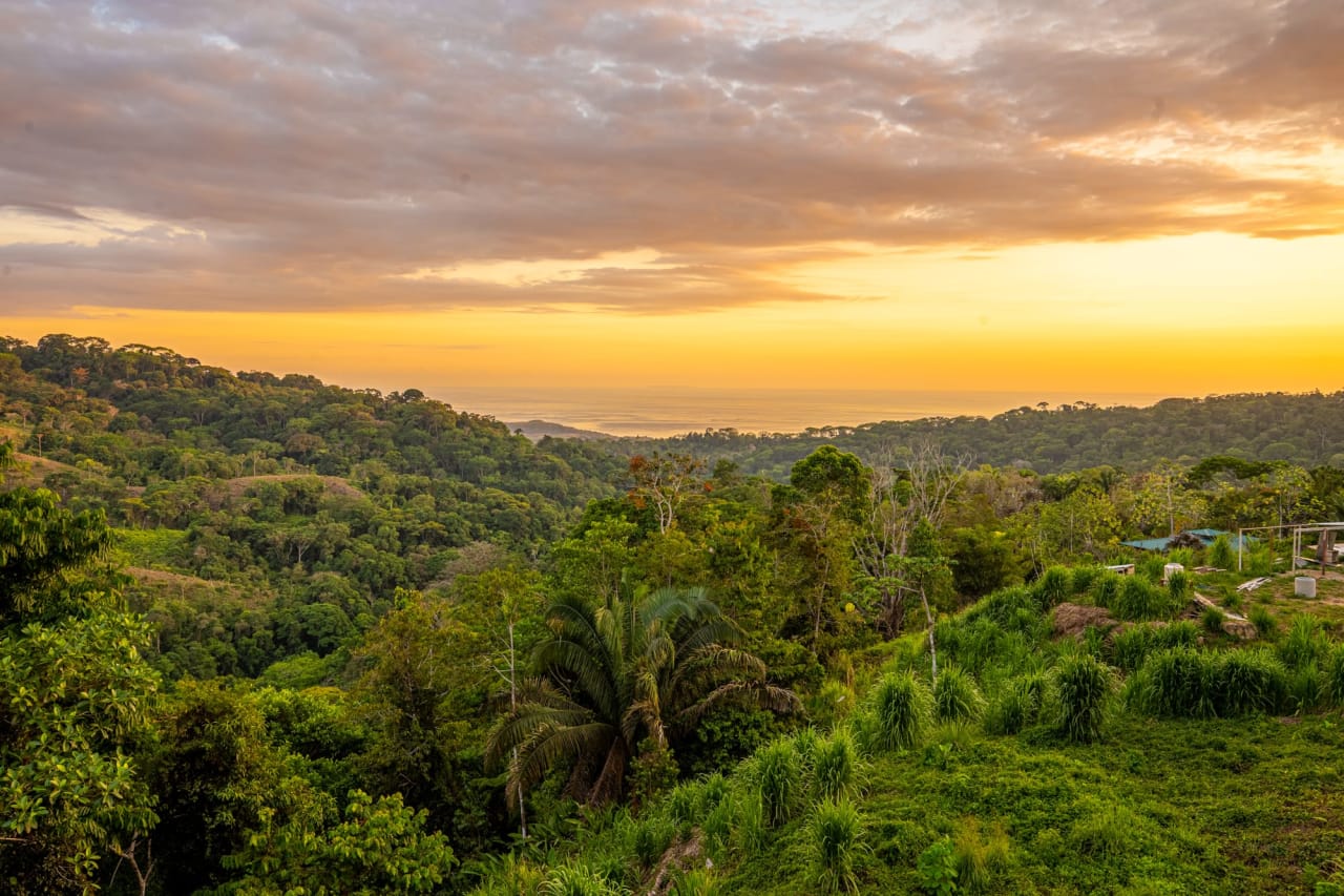 Amazing San Josecito New Build with Full Whales Tail Sunset Views 