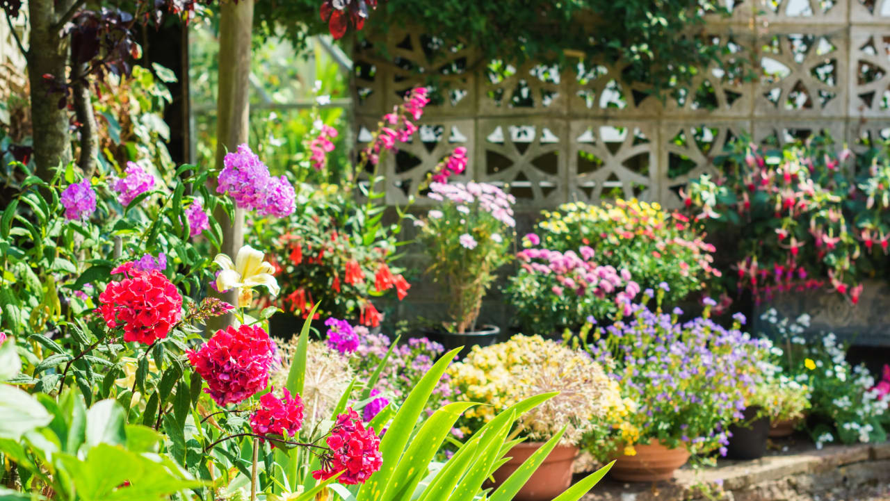 Top Summer Garden Trends in 2023