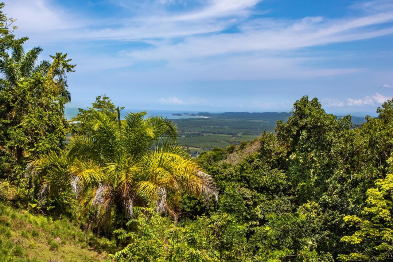 Incredible 10,000 Ft2 Ocean View Home With 200 Acre Reserve!