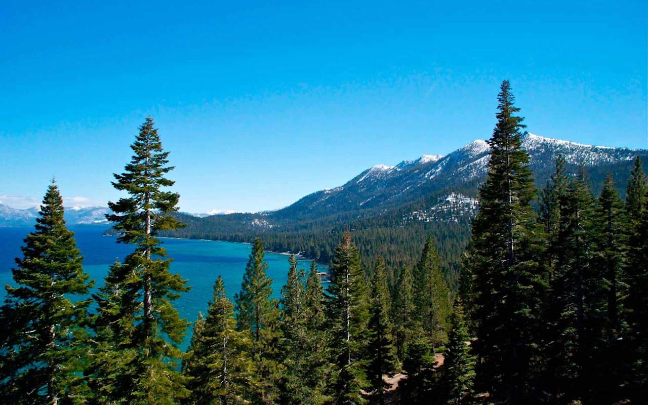 South Lake Tahoe Pacific Oak Real Estate Services