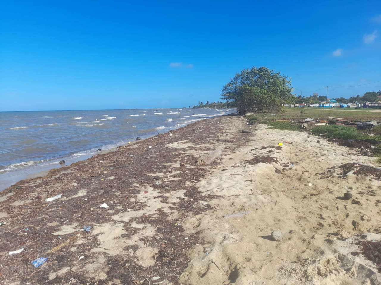 Charming 1.6 acre Caribbean Beachfront peninsular in Dangriga Town, Belize