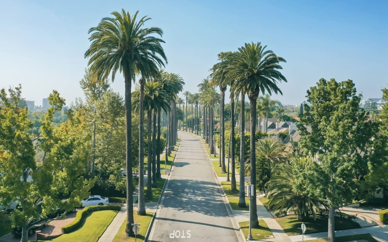 Louis Vuitton Beverly Hills Saks store, United States