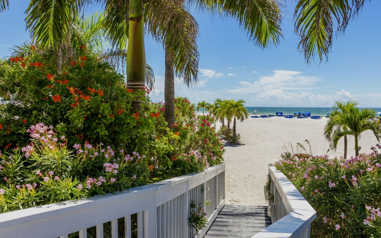 St. Petersburg Real Estate Florida Luxury Homes The Arner Group