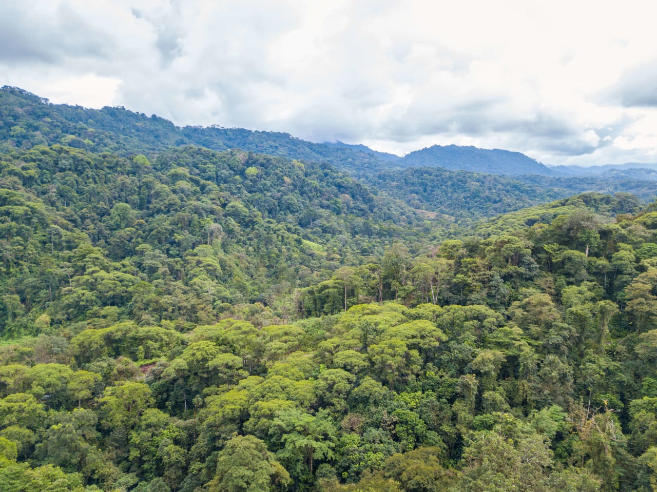 Mountain land with ocean view of Manuel Antonio/Quepos Quepos Puntarenas