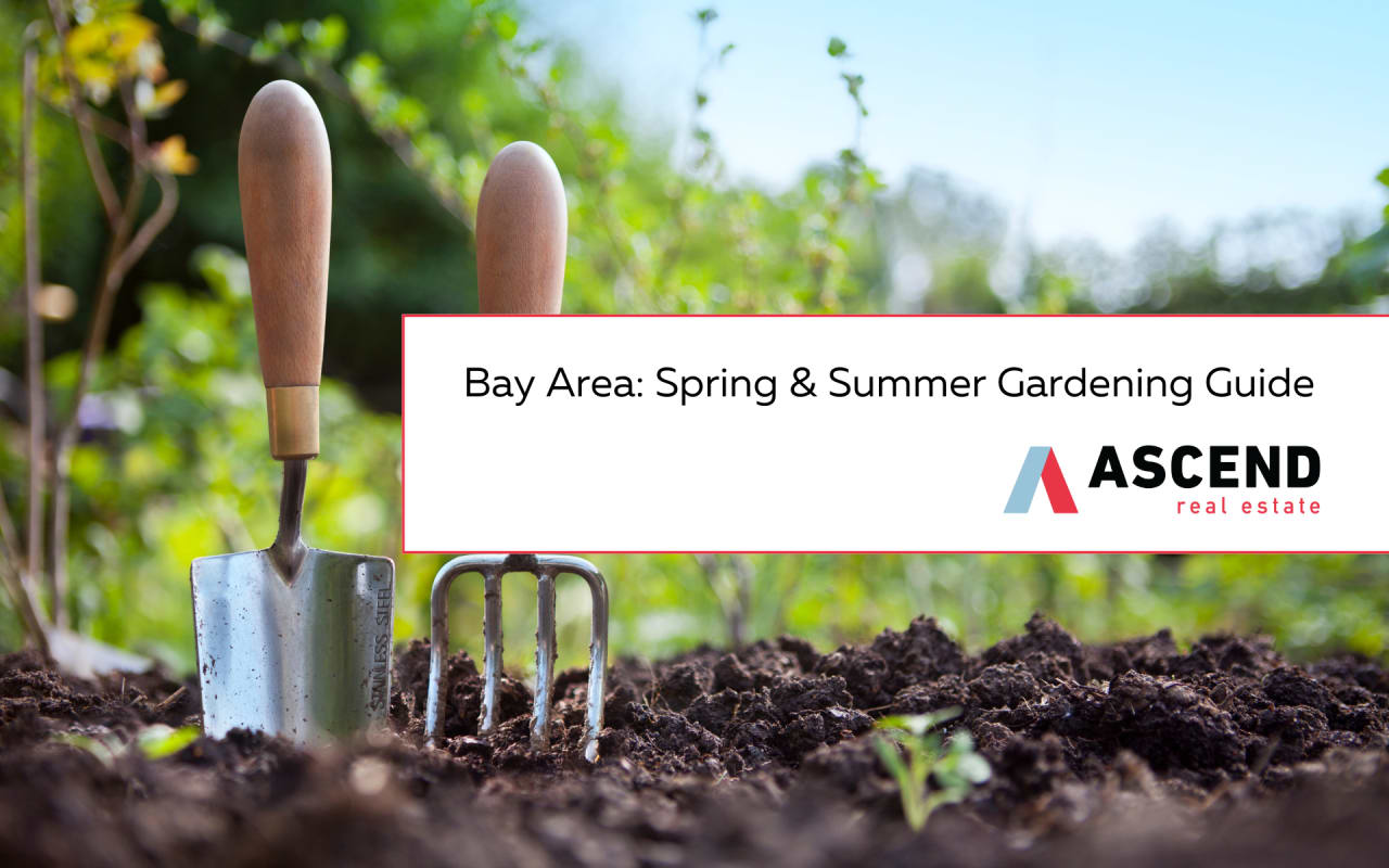 Bay Area: Spring and Summer Gardening Guide 