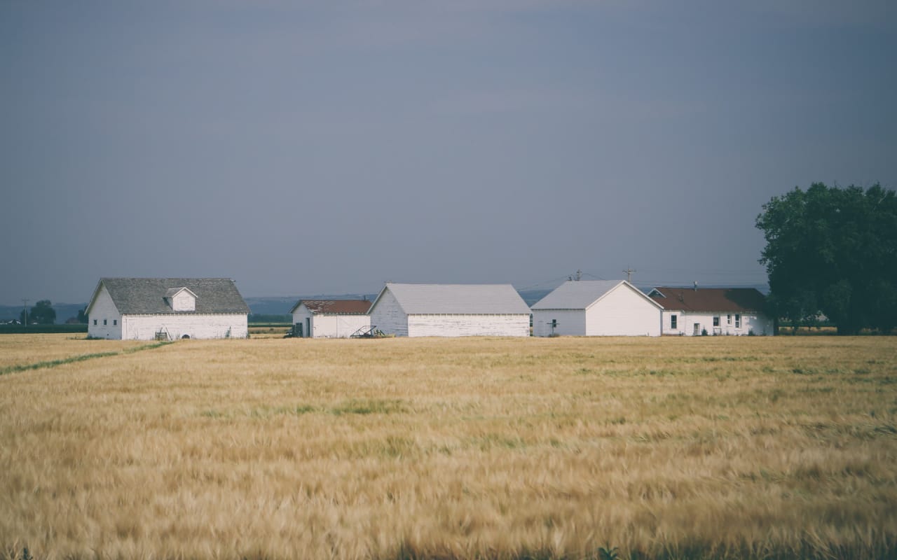 What It's Like to Live in Virginia's Countryside