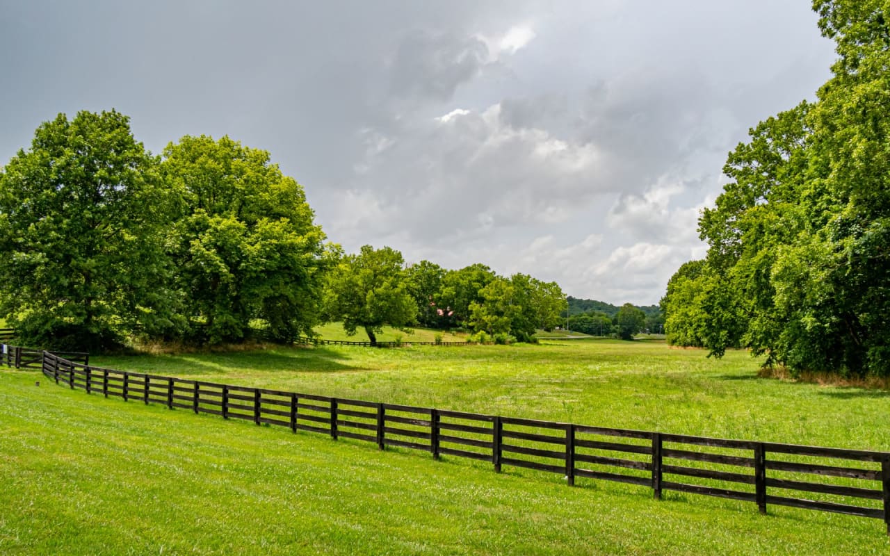 Leipers Fork